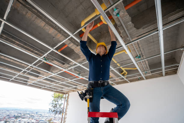 Best Plumbing Inspection Services  in Ames, TX